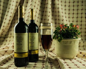 葡萄酒里经常用的干红是什么意思,和其他葡萄酒有什么区别